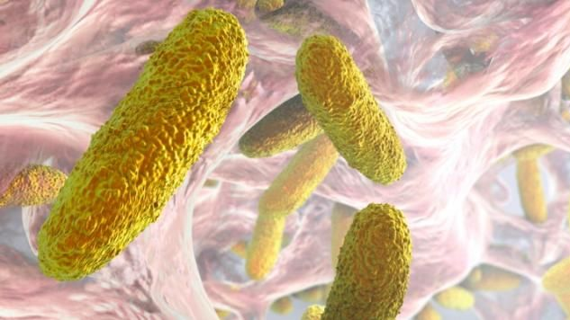 Eliminación de Listeria con Aquactiva.png